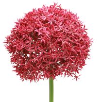 Artikel Allium i Bordeaux kunstigt pryd hvidløg Ø18cm L90cm