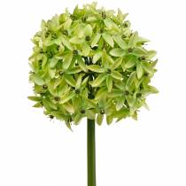 Artikel Prydløg Allium, silkeblomst, kunstig kugleløggrøn Ø20cm L72cm