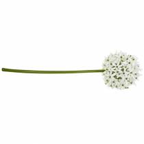 Artikel Dekorativ blomst Allium, kunstig kugleløg, prydløg hvid Ø20cm L72cm