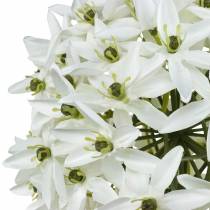 Artikel Dekorativ blomst Allium, kunstig kugleløg, prydløg hvid Ø20cm L72cm