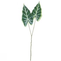Artikel Alocasia Elefantøre Pil Blad Kunstige Planter Grøn 55cm