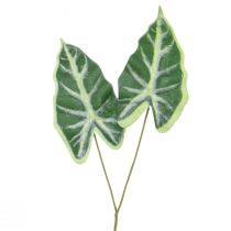 Artikel Alocasia Elefantøre Pil Blad Kunstige Planter Grøn 55cm