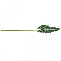 Artikel Kunstig pilblad kunstig plante alocasia deco green 74cm