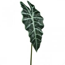 Artikel Kunstig pilblad kunstig plante alocasia deco green 74cm