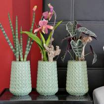 Artikel Alocasia pil bladgrøn, violet kunstplante H48cm