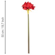 Artikel Kunstig rød amaryllisblomst med stilk, blomsterdekoration til jul, 50 cm