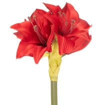 Artikel Kunstig rød amaryllisblomst med stilk, blomsterdekoration til jul, 50 cm