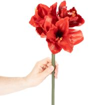 Artikel Kunstig amaryllisblomst, rød, lang stilk, til vase og arrangement, 77 cm