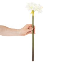 Artikel Kunstig amaryllisblomst, hvid, med stilk, advent og jul, 50 cm