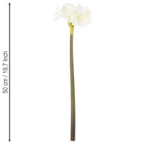 Artikel Kunstig amaryllisblomst, hvid, med stilk, advent og jul, 50 cm