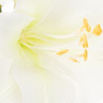 Artikel Kunstig amaryllisblomst, hvid, med stilk, advent og jul, 50 cm