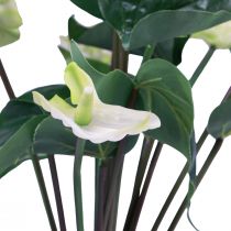 Artikel Kunstige blomster, flamingoblomst, kunstig anthurium hvid 36cm