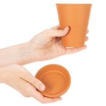 Artikel Aquasafe vandreservoir med insektdrikketrug til have, altan, terrasse, 12 cm, 3 stk.