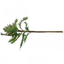 Artikel Artiskok Artiskok Grøn Deco Efterår Ø7,5cm H43cm