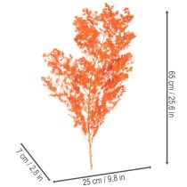 Artikel Tørrede aspargesblomster gren dekorativ asparges farvet 65 cm 80 g