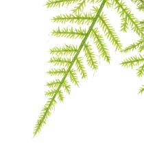 Artikel Kunstig asparges som hængeplante til vedligeholdelsesfri boligindretning, 75 cm