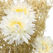 Artikel Kunstig buket af asters og babyånde i beige og hvid, perfekt til bryllupsdekorationer og efterårsarrangementer, 43 cm