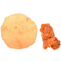 Artikel Østersmuslinger capiz skiver i net appelsin 3,5–9,5cm 2stk