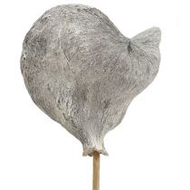 Artikel Badam på pind hvidkalket 12cm L55cm 23 stk