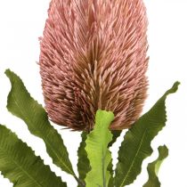 Kunstig blomst Banksia pink efterårsdekoration erindringsblomster 64cm