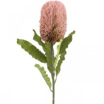 Artikel Kunstig blomst Banksia pink efterårsdekoration erindringsblomster 64cm