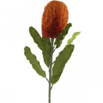Artikel Kunstig blomst Banksia Orange Efterårsdekoration Begravelsesblomster 64cm