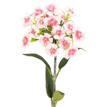 Artikel Skæg nelliker kunstig nellike Fersken Pink 52cm