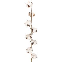 Artikel Kunstig bomuldsgren med 8 rigtige blomster, 78 cm