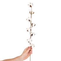 Artikel Kunstig bomuldsgren med 8 rigtige blomster, 78 cm