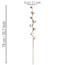 Artikel Kunstig bomuldsgren med 8 rigtige blomster, 78 cm