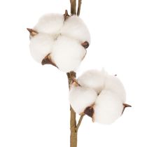 Artikel Kunstig bomuldsgren med 8 rigtige blomster, 78 cm