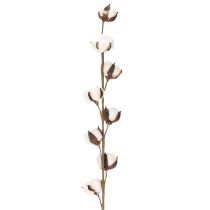 Artikel Kunstig bomuldsgren med 8 rigtige blomster, 78 cm