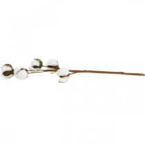 Artikel Bomuldsgren dekoration Ægte bomulds pyntegren 5 hoveder 50cm