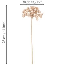 Artikel Kunstig bærgren, champagnefarvet dekoration, 28 cm, 3 stk.