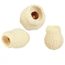 Artikel Bellgum tørret klokkefrugt bleget 2,5-3,5cm 500g