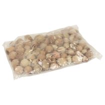 Artikel Bellgum klokke frugt kapsel frugt naturlig dekoration brun 500g