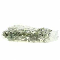 Artikel Bellgum gren 5cm - 7cm grøn frostet 20 stk