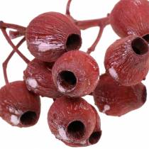 Bellgum gren 5cm - 7cm Frosted rød 20stk
