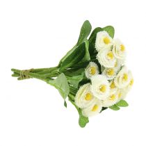 Artikel Bellisbund hvid 22cm 4stk