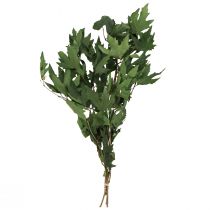 Artikel Sycamore grene blade dekorative ahorn blade grønne 50-60cm 100g