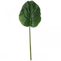 Artikel Kunstig Grøn Plante Bergenia Grøn Kunstig Plante 53cm