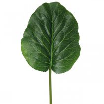 Artikel Kunstig Grøn Plante Bergenia Grøn Kunstig Plante 53cm