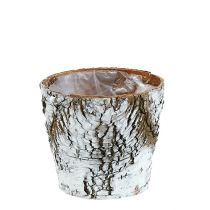 Artikel Birkepotte lille plantekasse birk hvid Ø10cm H8,5cm 6 stk