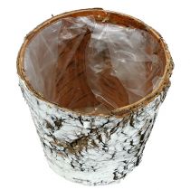Artikel Birkepotte lille plantekasse birk hvid Ø10cm H8,5cm 6 stk