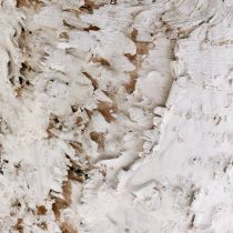 Artikel Dekorativ potte hvide birkepotte Ø18cm H15cm 2stk