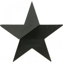 Artikel OASIS® Sort Bioline® Floral Foam Star Sort H30cm 2 stk