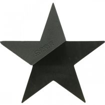 OASIS® Sort Bioline® Floral Foam Star Sort H30cm 2stk