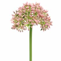 Artikel Allium kunstrosa 55cm