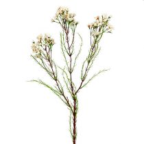Blomstergren grøn, hvid 80 cm 3stk