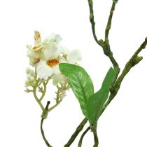 Artikel Blomstergren hvid L 65cm 1 stk Kunstig plante som ægte!